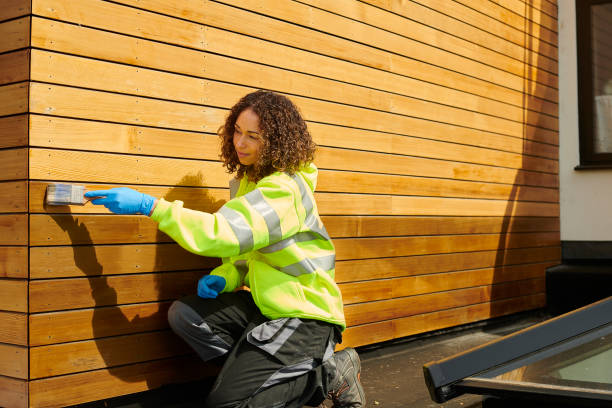 Best Custom Siding Design  in Gold Canyon, AZ