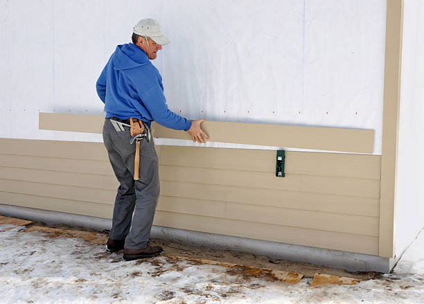Best Custom Trim and Detailing for Siding  in Gold Canyon, AZ